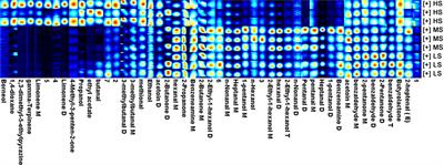 Metabolomics approach reveals high energy diet improves the quality and enhances the flavor of black <mark class="highlighted">Tibetan sheep</mark> meat by altering the composition of rumen microbiota